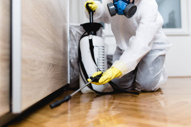 Best Bed Bug Extermination  in Bixby, OK