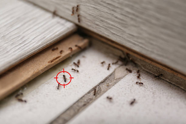 Best Best Pest Control Companies  in Bixby, OK
