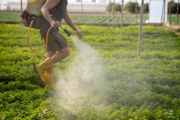 Best Residential Pest Control  in Bixby, OK