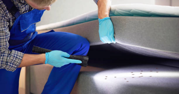 Best Flea Control Services  in Bixby, OK