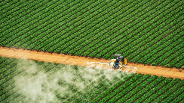 Best Pest Control for Businesses  in Bixby, OK