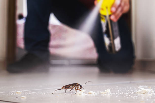 Best Local Pest Control Services  in Bixby, OK