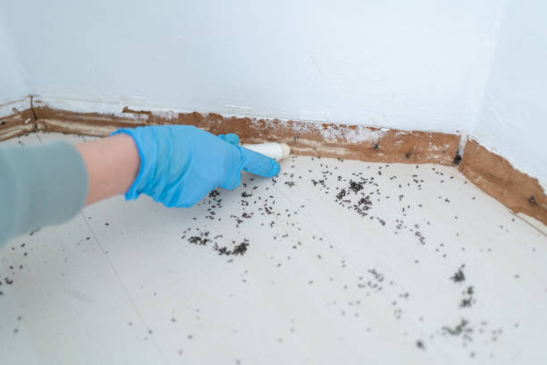 Bixby, OK Pest Control Company