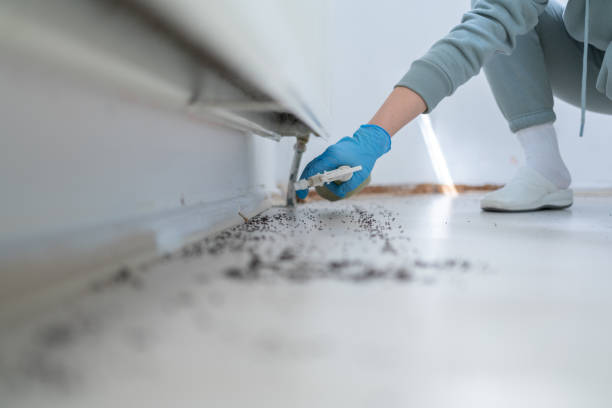 Best Pest Inspection Near Me  in Bixby, OK